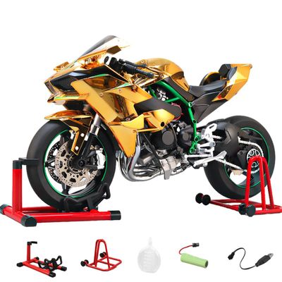 1/6 Scale Alloy Dynamic Motorcycle Model,Alloy Diecast Simulated Motorbike with Realistic Ignition, Smoke Spray, Sound & Light Effects for Adult Collectors