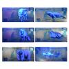 5pc/Set Arctic World Animal Silvery Banknotes Arctic Wolves, Polar Bears, Seals, Arctic Foxes Blue Whales Plastic Money with UV Gift view 3