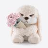 11.4" Adorable Bunny Plush Stuffed Animal - Hugging Rose Bouquet, Ultra-Soft Cuddly Toy, for Girls, Kids, Valentine's Day (White/Pink)-A Surprise That Never Fades view 1