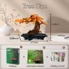 4 in 1 Bonsai Tree Building Blocks Set, 529PCS Botanical Model with Seasonal Transformations, Creative Nature Construction Kit for Relaxation, Home Dcor and STEM Learning Gift for Adults and Kids view 4