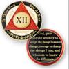 12 Year AA Recovery Coin, Red White Black view 1