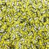 Large Honey Bee Fake Polymer Clay Slice Sprinkles, Insect Nail Art Slices, Miniature Sprinkles, Fimo Fake Sprinkles for Crafts, Decoden Embellishments (30 gram Bag) view 2