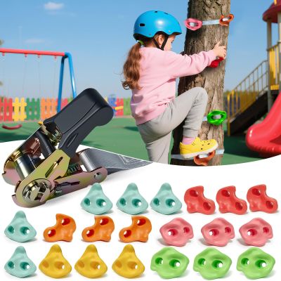 20 PCS Large Ninja Rock Climbing Holds for Kids,Tree Climbing Rock Wall Grips,Adult Rock Wall Holds Rock Wall Climbing Kit with 6 Ratchet Straps for Indoor Outdoor Climbing Wall HoldsPastel Color