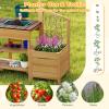 HONEY JOY Mud Kitchen, Cedar Wood Pretend Play Kitchen for Toddlers, Plant Growing Box & Trellis, Real Faucet w/Running Water, Sink, Accessories, Outdoor Kids Kitchen Playset for Garden Fun(Natural) view 4