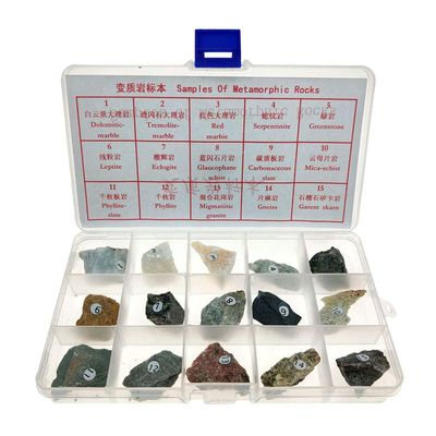 15pcs Metamorphic Rock Specimen Collection with Identification Sheet, Geology Teaching Aid Kit for Classroom Science Education Ages 8 and Up