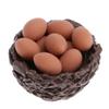 1/12 Scale Miniature Dollhouse Fairy Garden Resin Chicken & 10 Eggs Set with Nest view 1