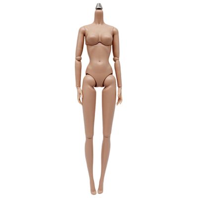 1/6 Scale Action Figure, Multi Jointed Movable Female Action Figure Body for Display Collection