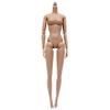 1/6 Scale Action Figure, Multi Jointed Movable Female Action Figure Body for Display Collection view 1