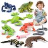 THINKBAY 9PCS Amphibian Animals Figurines Toys for Kids with Rainforest Reptile Animals Figurines Include Salamanders, Ichthyophis, Frog Figures, Cake Toppers Party Favors for Toddler view 1