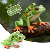 THINKBAY 9PCS Amphibian Animals Figurines Toys for Kids with Rainforest Reptile Animals Figurines Include Salamanders, Ichthyophis, Frog Figures, Cake Toppers Party Favors for Toddler view 4