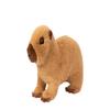 Douglas Soft Chattie Capybara view 1