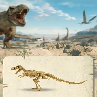 Dinosaur Structure Model Skeleton with Detachable and Assemblable Design (Triceratops)