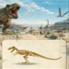 Dinosaur Structure Model Skeleton with Detachable and Assemblable Design (Triceratops) view 1