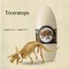 Dinosaur Structure Model Skeleton with Detachable and Assemblable Design (Triceratops) view 4