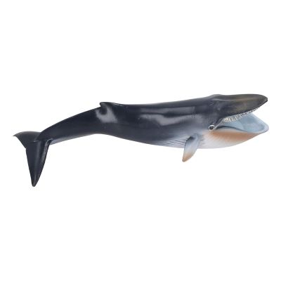 Aramox Sea Marine Animal Figure Toys, Blue Whale Model, Educational Ocean Animal Toy