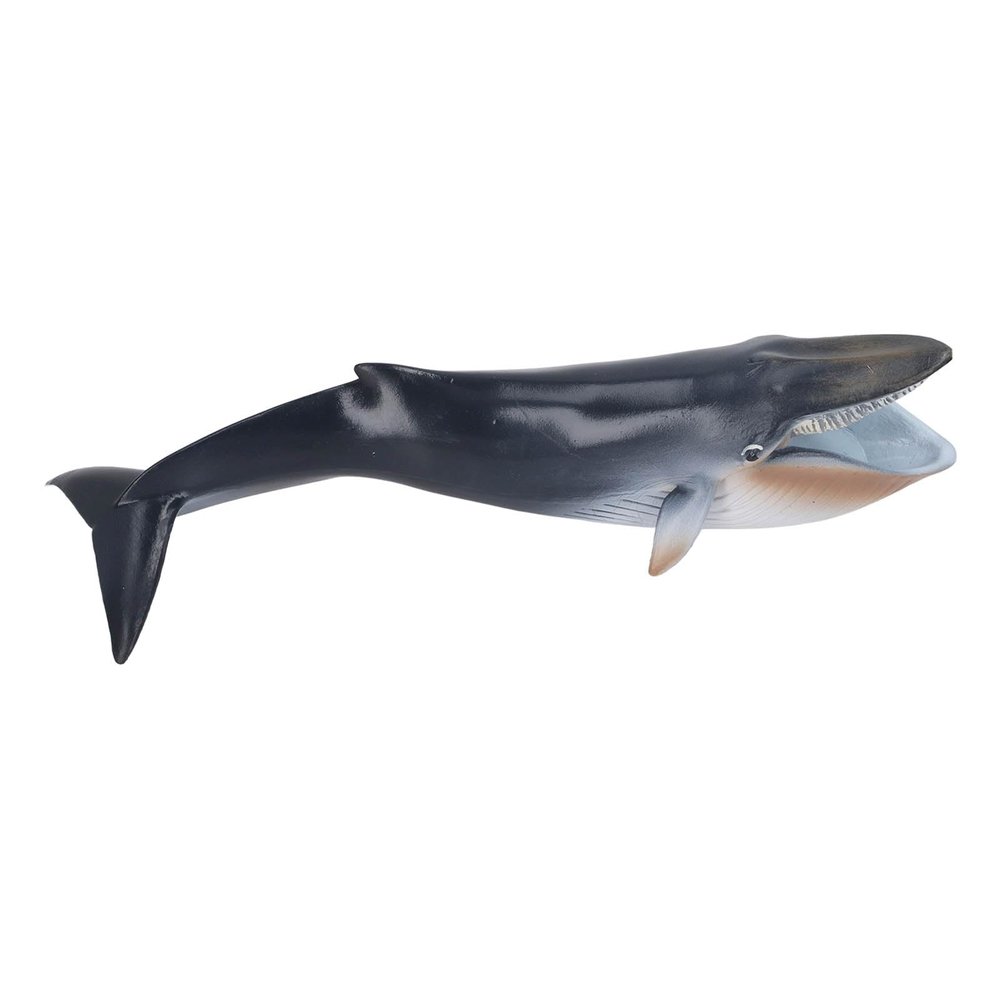 Aramox Sea Marine Animal Figure Toys, Blue Whale Model, Educational Ocean Animal Toy