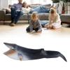 Aramox Sea Marine Animal Figure Toys, Blue Whale Model, Educational Ocean Animal Toy view 3