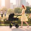 2 in 1 Baby Stroller,Convertible Infant Stroller for Newborn and Toddler with Triangular Frame & Dual Spring Suspension,One-Click Folding(Black) view 2