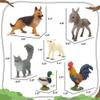 Beetots Farm Animals Toy Set, 12 Realistic Small Animal Figurines with Pets, Livestock, Poultry for Kids Ages 3+, Educational Learning Playset for Toddlers Boys Girls view 4