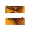chenfantian Fresh Mangoes Baby Bow Headband, Soft Baby Bow Hair Accessory For Newborn Babies, *Toddlers, Kids. view 2