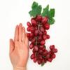 Big Ass Bunch O' Grapes, Mid-Century Silicon Cabochons Fruits, Realistic Grape Bunch for Crafting and Slime rdnqu (9 Pieces of Black Grapes) view 2