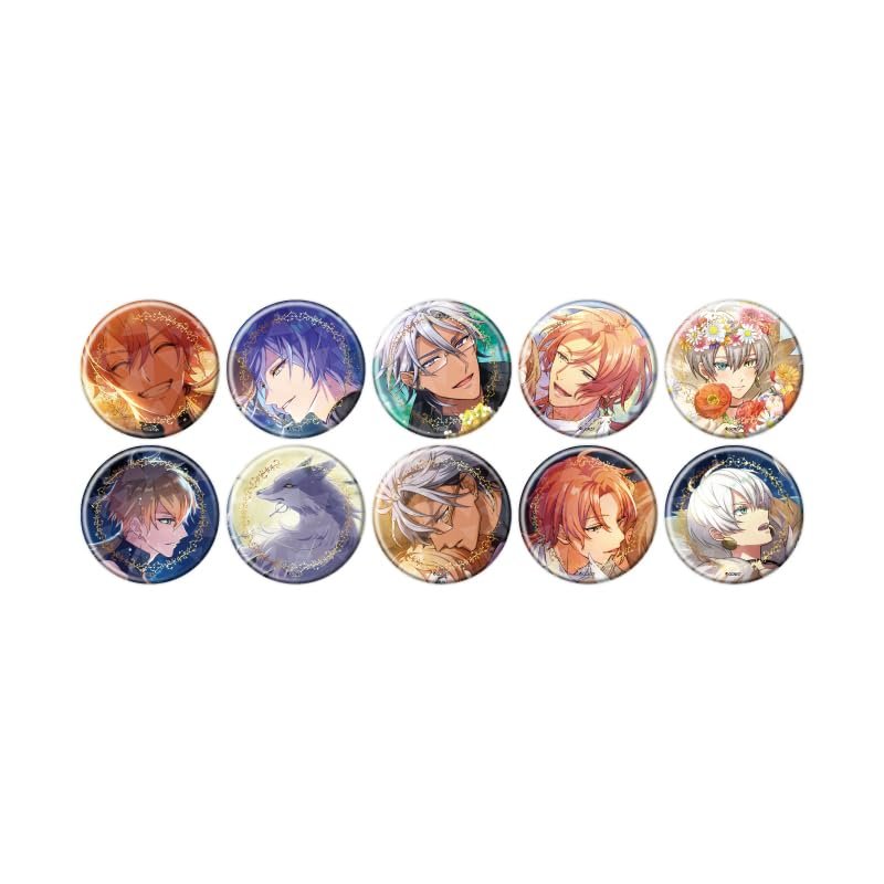 Dreammakers and Forgettable Black Fairy February [Official Illustration] Hologram Tin Badge [57mm] Box of 10
