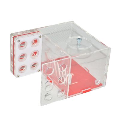 Gralara Farm ANT Castle DIY Habitat Learning Acrylic Farm Villa Breeding Case for Tabletop Children's Day Bedroom Home, 1.5cm
