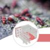 ANT Housing Nest ANT Farm Clear DIY Supplies Compact Workshop Habitat for Childrens Day Living Room Tabletop Bedroom Kitchen, 1.5cm view 4