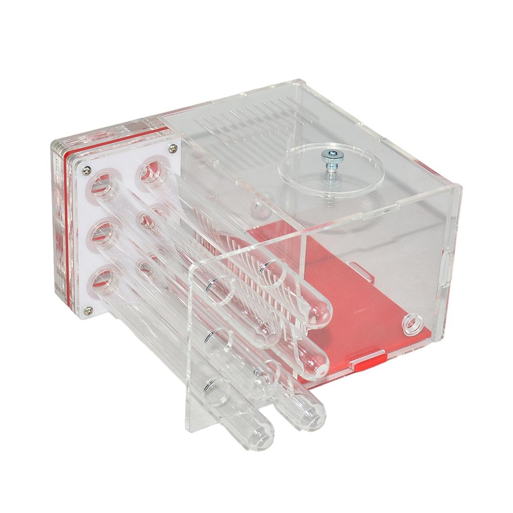 Bothyi ANT Housing Nest Habitat DIY Supplies Learning Cage Workshop for Childrens Day Lovers Kitchen Tabletop Living Room, 1.5cm