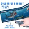 13 Pack Shark Toys Set with Booklet and Gift Box, Realistic Plastic Shark Figurines, Sea Creature Toy for Kid, Shark Party Decoration, Cake Topper, Educational Ocean Animals for Toddlers, Boys Girls view 4