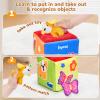 JoyCat What's Inside Box - Mystery Soft Box with 5 Sensory Objects, Rattle, Crinkle Paper, Mirror - Baby Toys 6-12 Months, Soft Busy Travel Toys - Christmas Basket Stocking Stuffers view 2