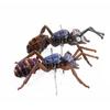 3D Acrylic Cicada Model Kit DIY Assembly Craft Educational Display Figurine Home Office Decoration Collectible Insect Sculpture (Arched ant) view 1