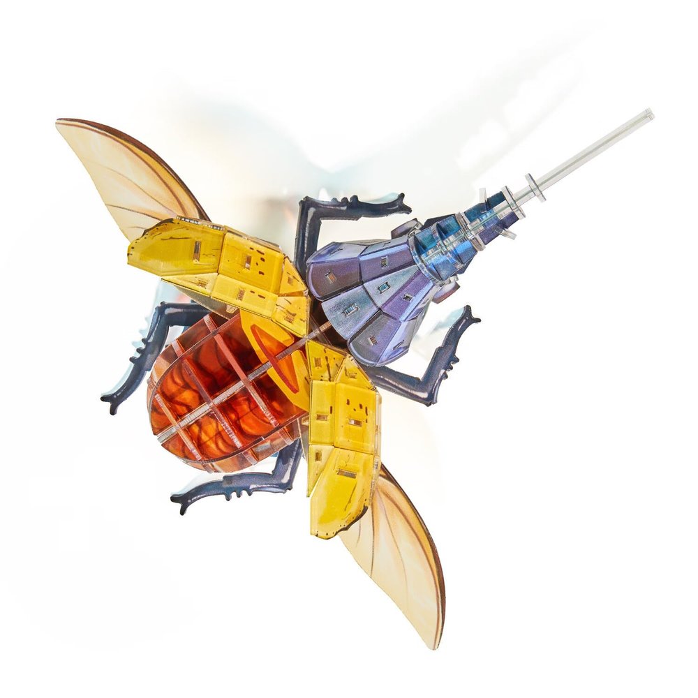3D Acrylic Cicada Model Kit DIY Assembly Craft Educational Display Figurine Home Office Decoration Collectible Insect Sculpture (Acteon Beetle)