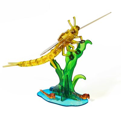 3D Acrylic Cicada Model Kit DIY Assembly Craft Educational Display Figurine Home Office Decoration Collectible Insect Sculpture (Mayfly)