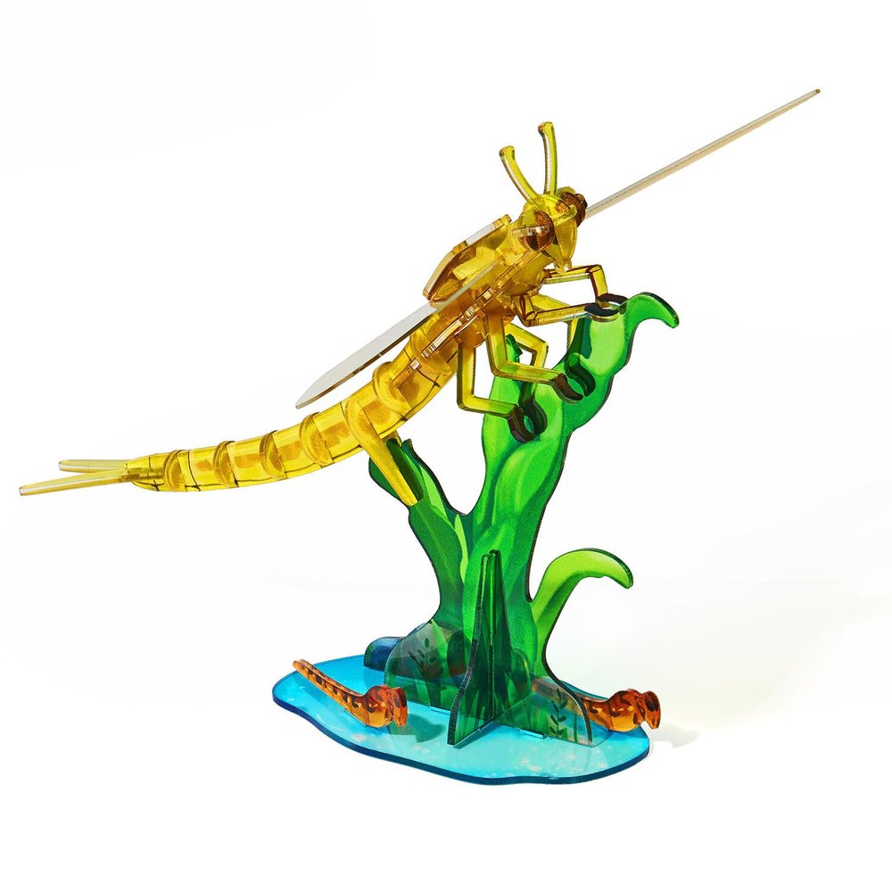 3D Acrylic Cicada Model Kit DIY Assembly Craft Educational Display Figurine Home Office Decoration Collectible Insect Sculpture (Mayfly)