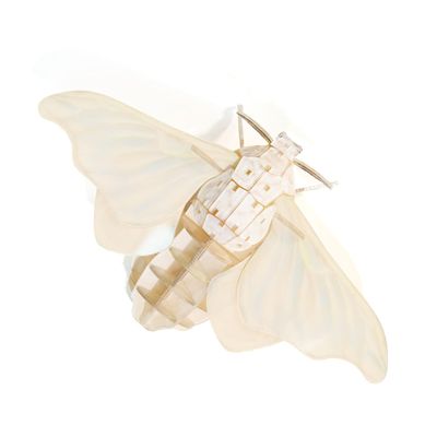 3D Acrylic Cicada Model Kit DIY Assembly Craft Educational Display Figurine Home Office Decoration Collectible Insect Sculpture (Silkworm Moth)