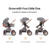Cochildor DuraFlex 2-in-1 Baby Stroller, Foldable Travel Stroller for Newborn to Toddler, Convertible Stroller with All-Terrain Wheels and UPF 50+ Canopy, Gray view 2