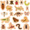 MTWENWENZY 20 PCS Wood Bugs and Insect Block Toys for Kids Wooden Minibeast Blocks Natural Classroom Science Learning Toy Boys and Girls Educational Preschool Learning view 1