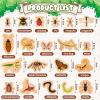 MTWENWENZY 20 PCS Wood Bugs and Insect Block Toys for Kids Wooden Minibeast Blocks Natural Classroom Science Learning Toy Boys and Girls Educational Preschool Learning view 2