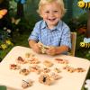 MTWENWENZY 20 PCS Wood Bugs and Insect Block Toys for Kids Wooden Minibeast Blocks Natural Classroom Science Learning Toy Boys and Girls Educational Preschool Learning view 4