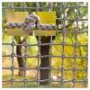 3x3m Playground Climbing Net - Safe Play Netting, Protective Fence Mesh, Truck Cargo Cover, Durable Bridge Rope Ladder Net for Kids Outdoor Adventure view 1