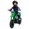 24V 350w Kids Motorcycle, 13.67 Mph Max Speed Kids Electric Bike, Dirt Bike with Rear Wheel Suspension, Music, 12 Miles Range, Twist Grip Throttle, Metal Suspension, Rubber Tire, Leather Seats, Green view 1