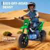 24V 350w Kids Motorcycle, 13.67 Mph Max Speed Kids Electric Bike, Dirt Bike with Rear Wheel Suspension, Music, 12 Miles Range, Twist Grip Throttle, Metal Suspension, Rubber Tire, Leather Seats, Green view 3