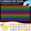 Barydat 500 Pcs Christmas Mini Resin Duck Glowing in The Dark Little Tiny Luminous Duck Bulk for Hide Prank DIY Idea Gifts Cruise Party Garden Animal Figure Miniature for Garden Micro Decor view 2