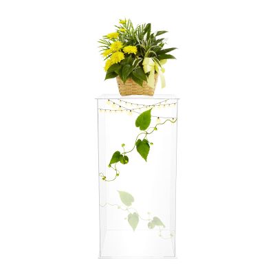 24" Clear Acrylic Display Stand, Acrylic Display Box For Action Figures Collectibles, Tall Clear Plastic Box Dust Proof Action Figures Toy Acrylic Case for Display Figures Dolls