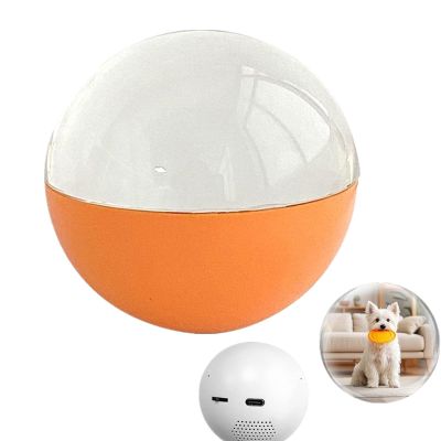 Crystal Ball Video Player, 3D Crystal Ball Digital Photo Album DIY Video Player Personalized Crystal Ball Digital Video Display Customizable Gift for Couples,Pets, Memories