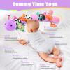 AWOTOY Baby Toys 6-12 Months Music Caterpillar Infant Toys Stuffed Animals 0-3-6 Months Teething Tummy Time Sensory Toys with Mirror Rattle&Pull String for Boys Girls Birthday Gifts|Lavender Purple view 2