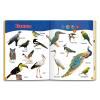 MotiveTech Russian Words Russian Talking,Interactive Audio Book,Vocabulary Studying for Learn,Colors,Vegetables Numbers view 3