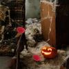2pcs Fake Human Brains Halloween Props, Realistic Latex Brain Body Parts for Halloween Party Decoration view 4