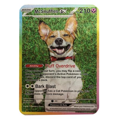 Custom Metal Pocket Monster EX Card  Personalized Trading Card  Collectible Gift for TCG Fans